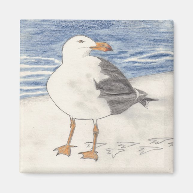 SEA GULL-magnet (kvadrat) Magnet (Framsidan)