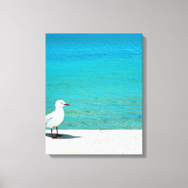 Sea Gull | Nutgrove Beach, Sandy Bay Tasmania Canvastryck (Framsida)