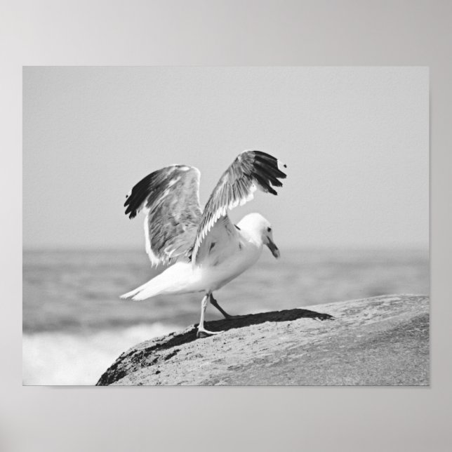 Sea Gull on Beach Sten Black and White Print Poster (Framsidan)