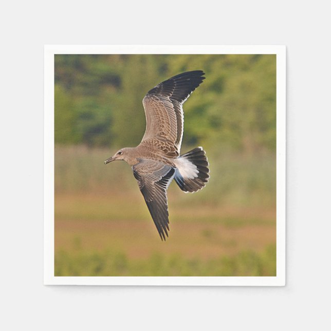 Sea Gull Pappersservett (Framsidan)