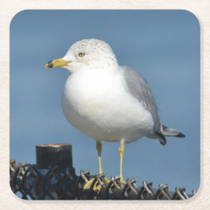 Sea Gull Party Underlägg Papper Kvadrat