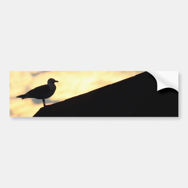 Sea Gull Sunset Bildekal (Framsidan)