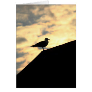 Sea Gull Sunset Hälsningskort
