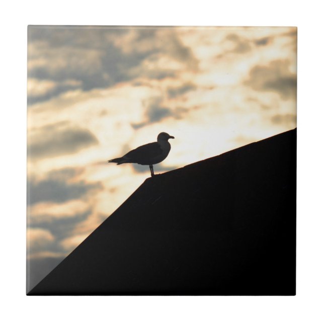 Sea Gull Sunset Kakelplatta (Framsidan)
