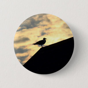 Sea Gull Sunset Knapp
