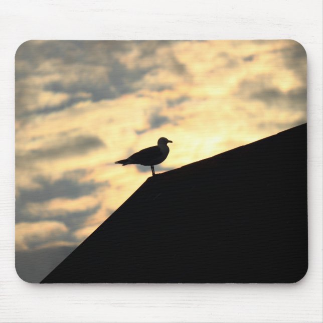 Sea Gull Sunset Musmatta (Framsidan)