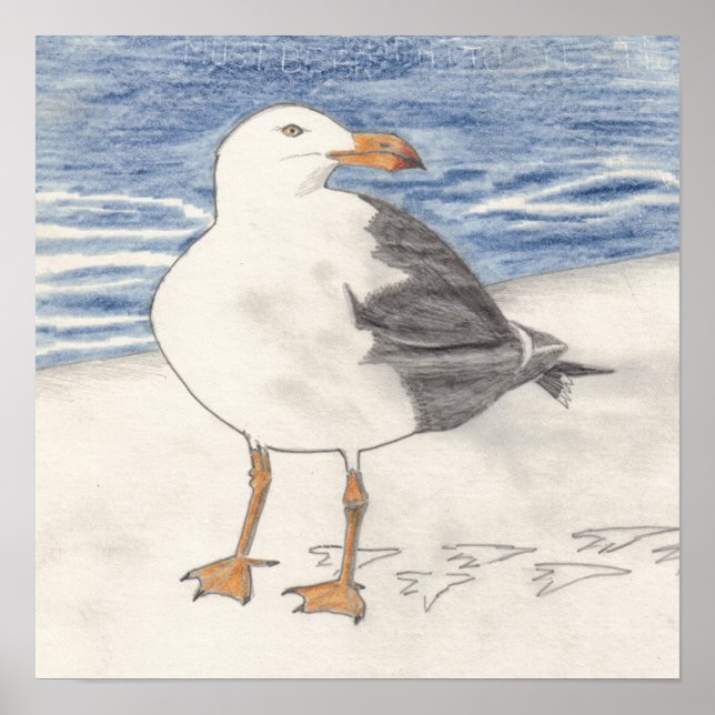 SEA GULL-utskrift (15" x 15") Poster (Framsidan)