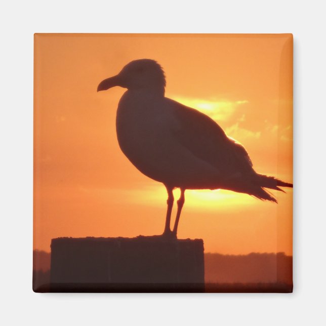 Sea Gull vid Sunset Magnet (Framsidan)
