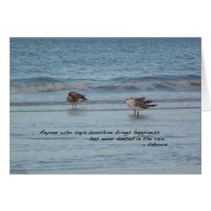 Sea Gulls i Neapel, Florida Hälsningskort