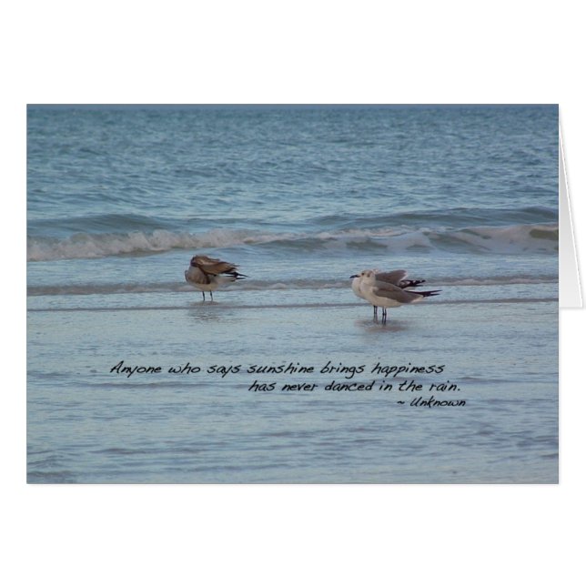 Sea Gulls i Neapel, Florida Hälsningskort (Framsidan Horizontal)
