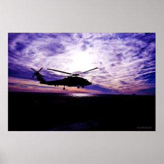 Sea Hawk Landing vid Sunset Poster