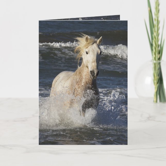 Sea Horse Greeting Card Kort (Framsida)