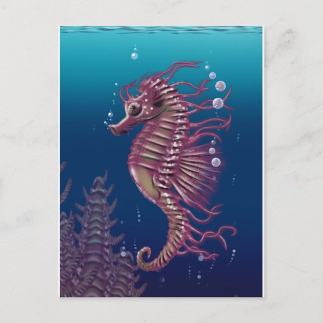 Sea Horse Postcard Vykort (Framsida)
