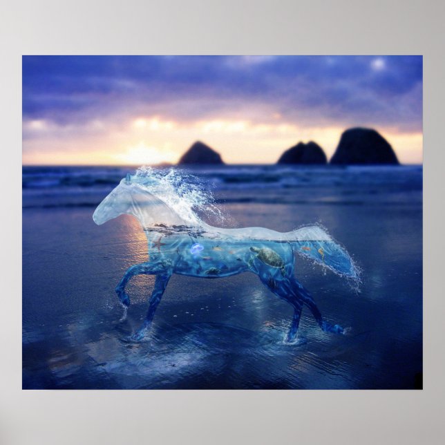 Sea Horse Poster (Framsidan)