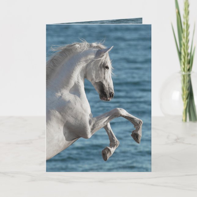 Sea Horse Rearing - Horse Greeting Card Kort (Framsida)