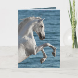 Sea Horse Rearing - Horse Greeting Card Kort