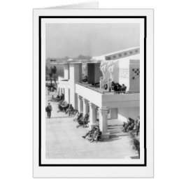 Sea Horses vid Sarasota Lido Beach Casino Hälsningskort