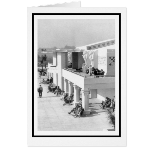 Sea Horses vid Sarasota Lido Beach Casino Hälsningskort (Framsidan)