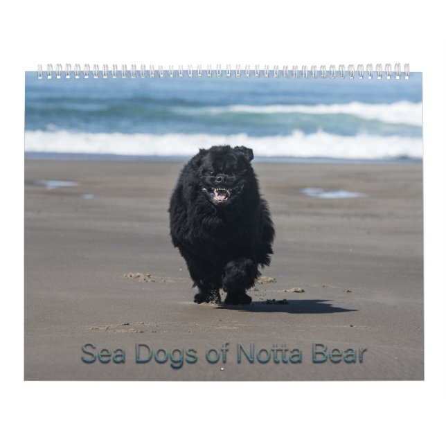 Sea Hundar of Notta Bear Kalender (Omslag)