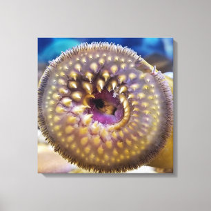 Sea Lamprey Mouth Poster Canvastryck