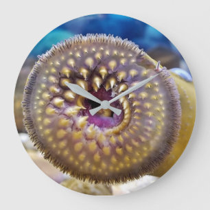 Sea Lamprey Mouth Stor Klocka