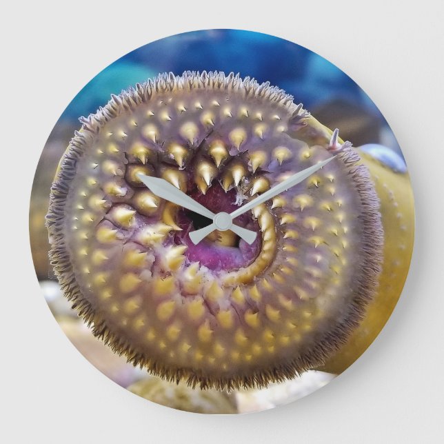 Sea Lamprey Mouth Stor Klocka (Framsida)