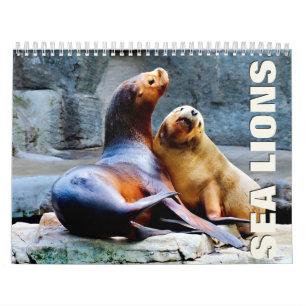 Sea Lejon 2022 Wall Calendar Kalender