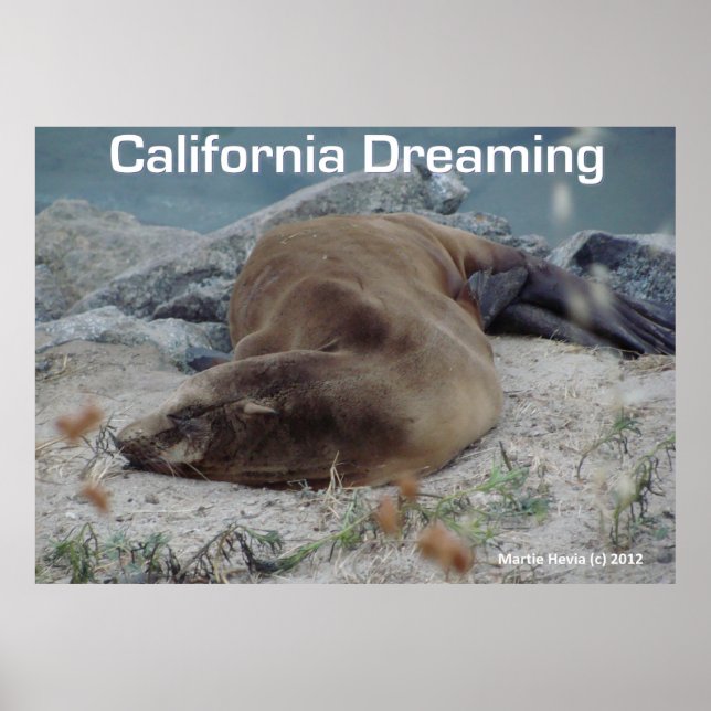 Sea Lejon - California Dreaming - Poster (Framsidan)