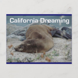 Sea Lejon - California Dreaming - vykort