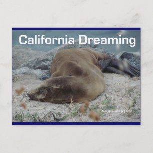 Sea Lejon - California Dreaming - vykort