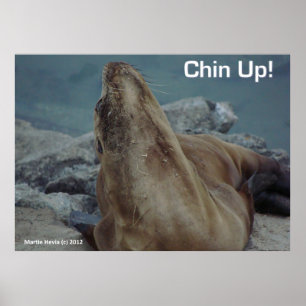 Sea Lejon - Chin Up - Poster