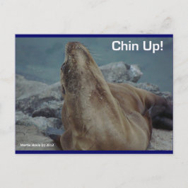 Sea Lejon - Chin Up! - vykort