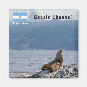 Sea lejon i beagle-kanalen - Argentina Magnet