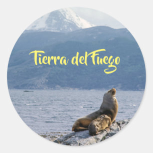 Sea lejon i beagle-kanalen - Argentina Runt Klistermärke