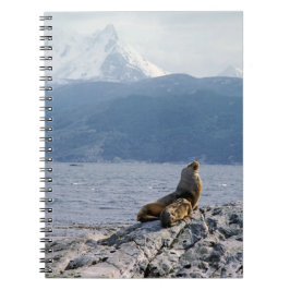 Sea lejon in beagle channel - Argentina Anteckningsbok