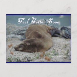 Sea Lejon - Känn bättre snart - vykort