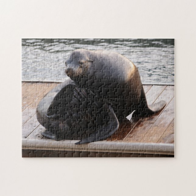 Sea Lejon, Pier 39, San Francisco Jigszawa puzzle Pussel (Horisontell)