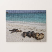 Sea Lejon Puzzle