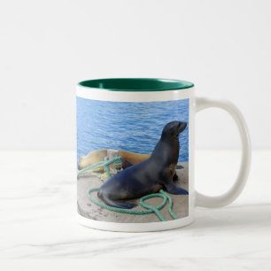 Sea Lejon Två-Tonad Mugg