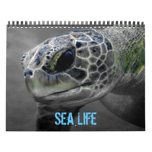 Sea Life Calendar Kalender (Omslag)