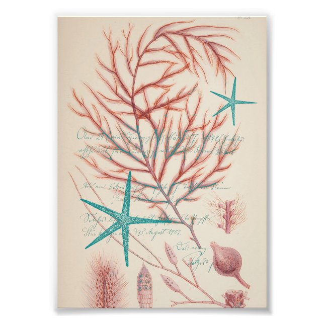 Sea Life Fototryck (Framsidan)