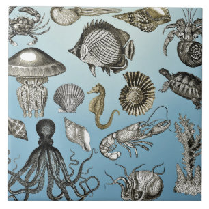 Sea Life Kakelplatta
