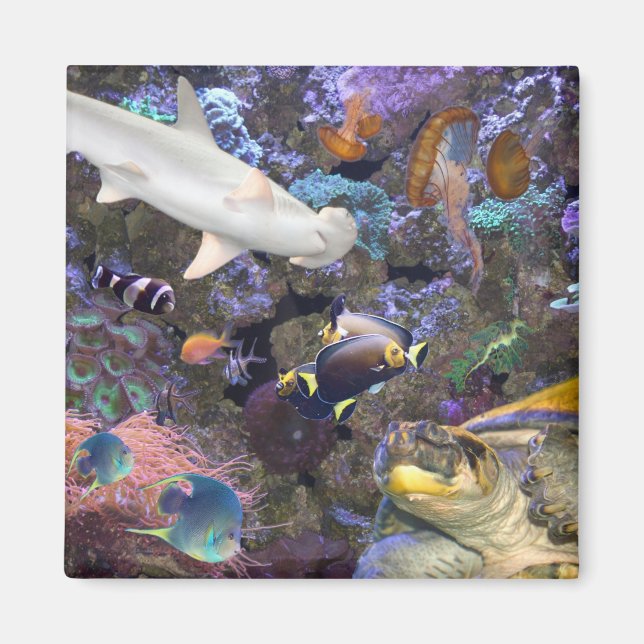 Sea Life Magnet (Framsidan)