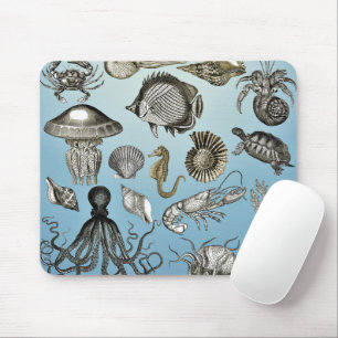Sea Life Musmatta