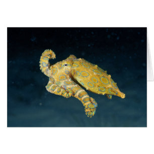 Sea Life - Octopus Hälsningskort
