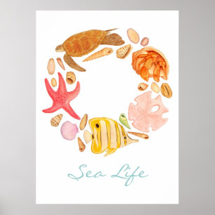 Sea Life Poster