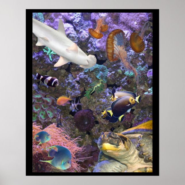 Sea Life Poster (Framsidan)