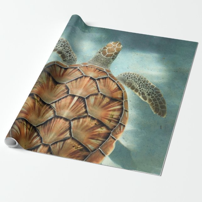 Sea Life Presentpapper (Utrullad)