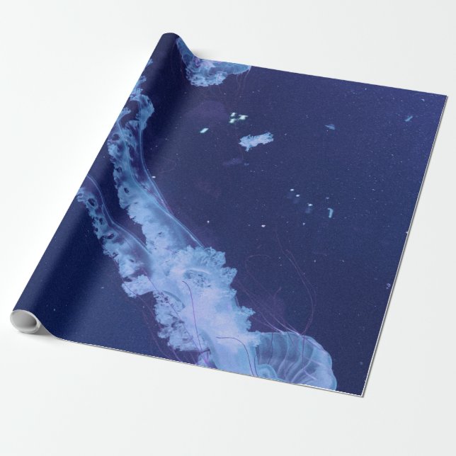 Sea Life Presentpapper (Utrullad)