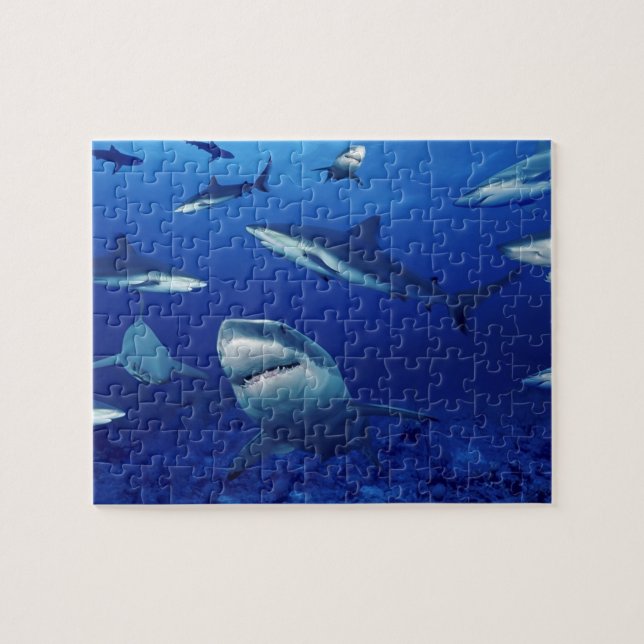 Sea Life Puzzle-Sharks Pussel (Horisontell)